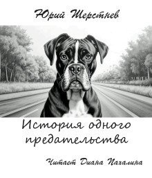 обложка аудиокниги История одного предательства