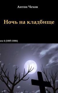 обложка аудиокниги Ночь на кладбище