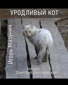 обложка аудиокниги Уродливый кот
