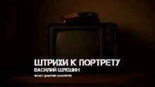 обложка аудиокниги Штрихи к портрету