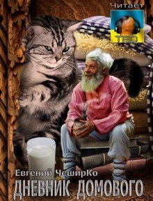 обложка аудиокниги Дневник Домового с продолжениями