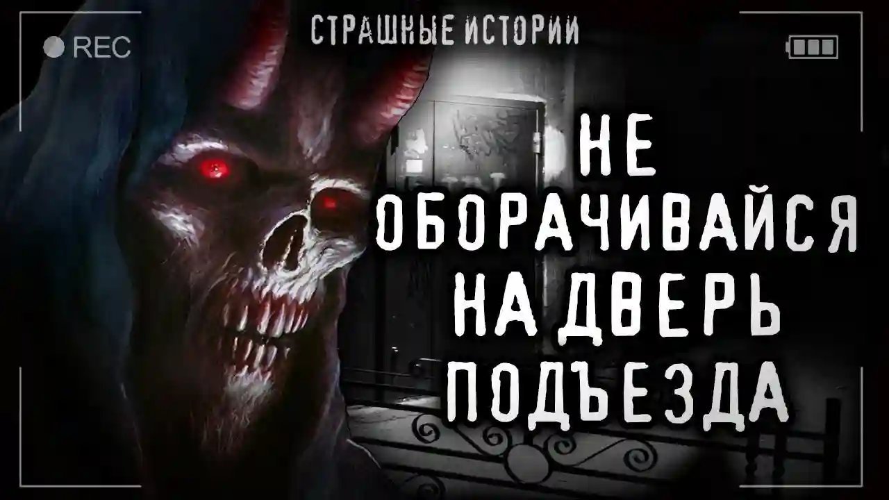 обложка аудиокниги Дверь подъезда