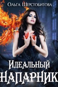 обложка аудиокниги Идеальный напарник