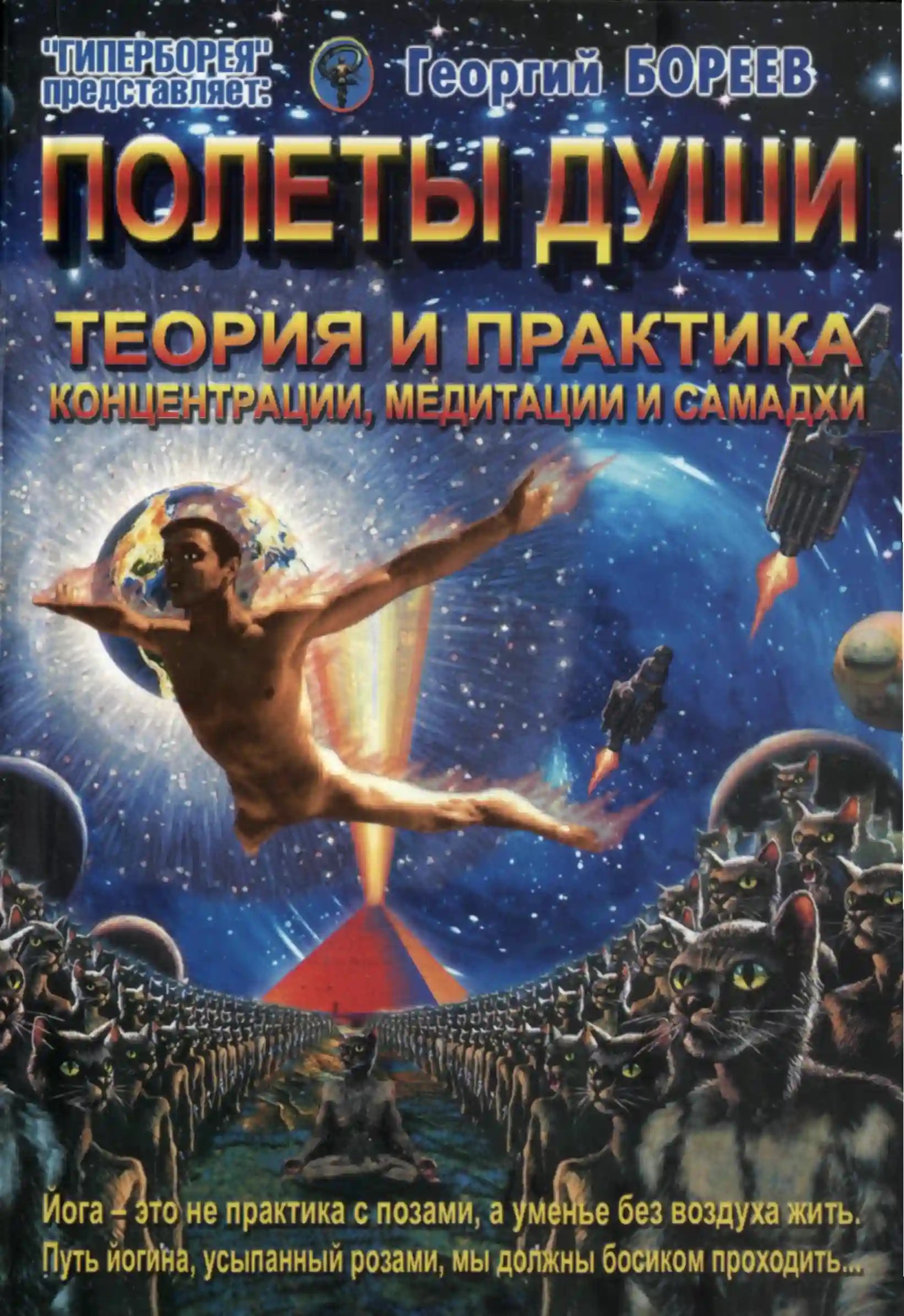 обложка аудиокниги Полеты души