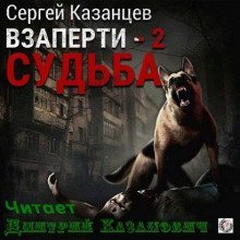 обложка аудиокниги ВЗаперти 2. Судьба