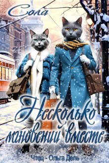 обложка аудиокниги Несколько мгновений вместе