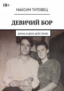 обложка аудиокниги Девичий бор