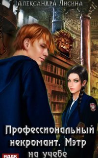 обложка аудиокниги Профессиональный некромант 2. Мэтр на учебе