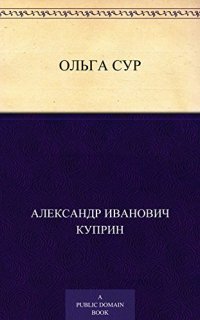 обложка аудиокниги Ольга Сур