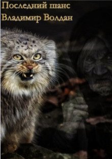 обложка аудиокниги Последний шанс