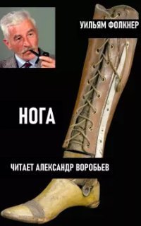 обложка аудиокниги Нога