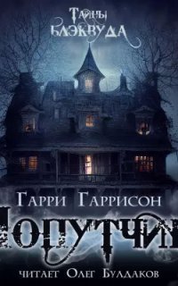 обложка аудиокниги Попутчик