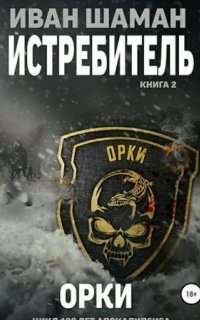 обложка аудиокниги Истребитель 2. Орки