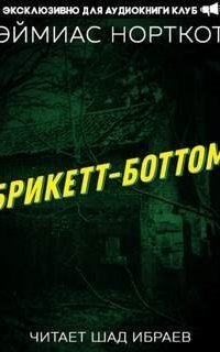 обложка аудиокниги Брикетт