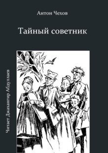 обложка аудиокниги Тайный советник