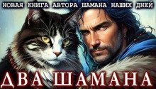 обложка аудиокниги Два шамана