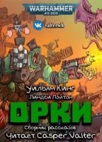 обложка аудиокниги Орки
