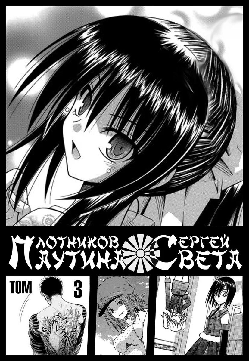 обложка аудиокниги Паутина света. Книга 3