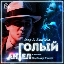 обложка аудиокниги Голый ангел