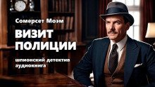 обложка аудиокниги Визит полиции
