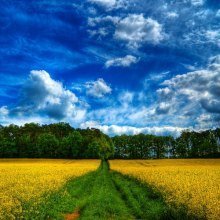 обложка аудиокниги Любимый уголок природы. Сеанс релаксации