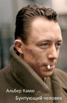 обложка аудиокниги Бунтующий человек