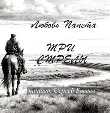 обложка аудиокниги Три стрелы