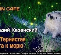 обложка аудиокниги Ежи. Тернистая дорога к морю