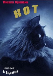 обложка аудиокниги Кот