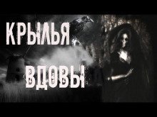 обложка аудиокниги Крылья вдовы