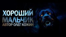 обложка аудиокниги Хороший мальчик