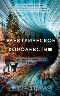 обложка аудиокниги Электрическое королевство