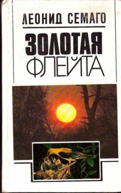 обложка аудиокниги Золотая флейта