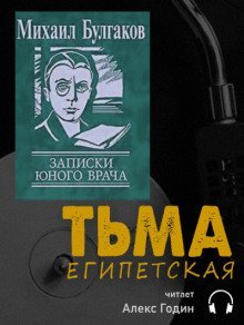 обложка аудиокниги Тьма египетская