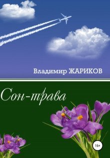 обложка аудиокниги Сон-трава