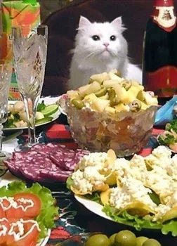 обложка аудиокниги Новогодние мученики