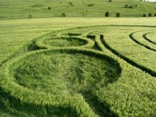 обложка аудиокниги Структура реальности