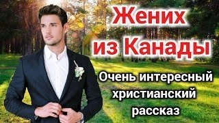 обложка аудиокниги Жених из Канады