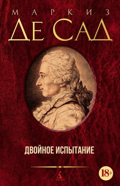 обложка аудиокниги Двойное испытание