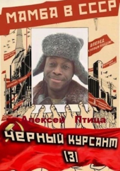 обложка аудиокниги Чёрный курсант