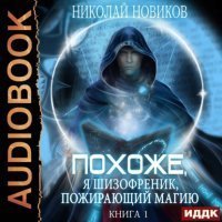 обложка аудиокниги Похоже, я шизофреник, пожирающий магию