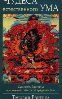 обложка аудиокниги Чудеса естественного ума