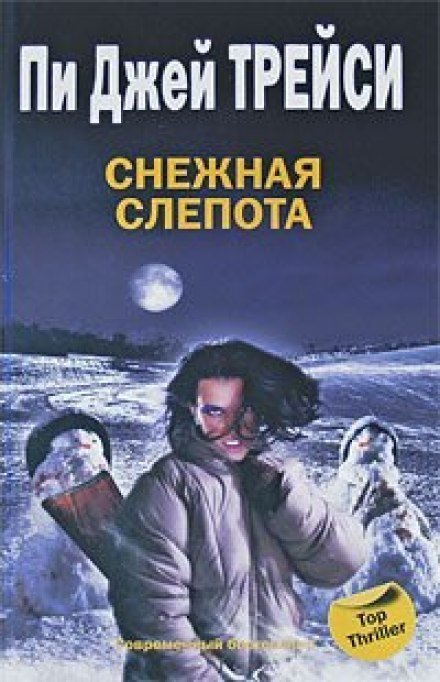 обложка аудиокниги Снежная слепота