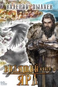 обложка аудиокниги Видящий. Гардарика 3. Видящий. Ярл