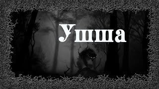 обложка аудиокниги Ушша