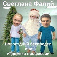 обложка аудиокниги Новогодний беспредел, или издержки профессии