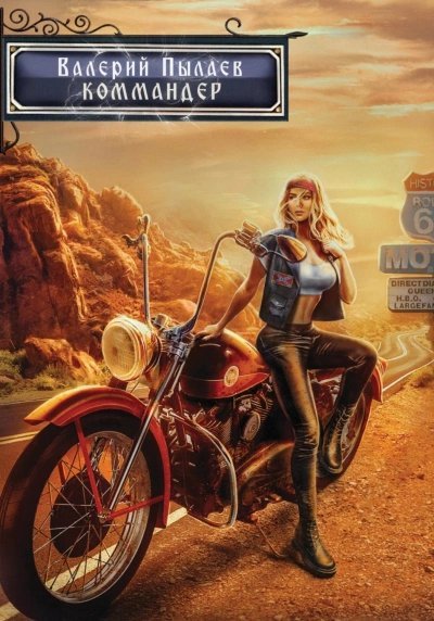 обложка аудиокниги Коммандер