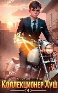 обложка аудиокниги Коллекционер душ. Книга 4