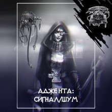 обложка аудиокниги Сигнал/шум