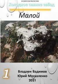 обложка аудиокниги Холодное сияние звёзд 1. Малой